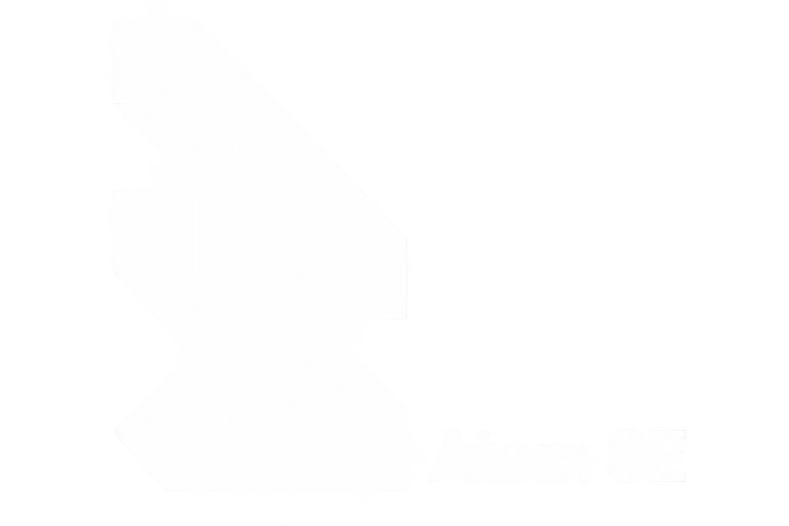 Atom SE